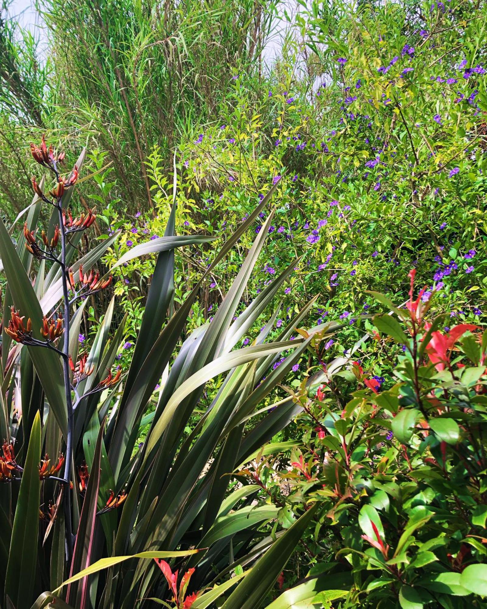 Le Jardin Des Portes Bed and Breakfast Les Portes-en-Re Exterior foto